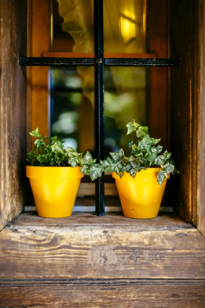 Fenster des Bauernhauses mit Blumenschmuck
